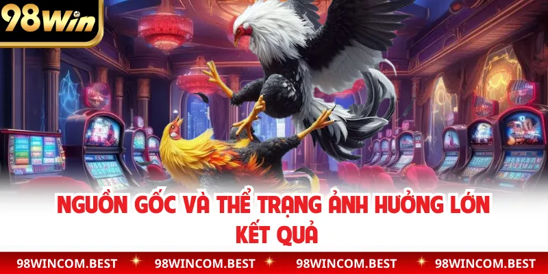 Nguồn gốc và thể trạng ảnh hưởng lớn kết quả